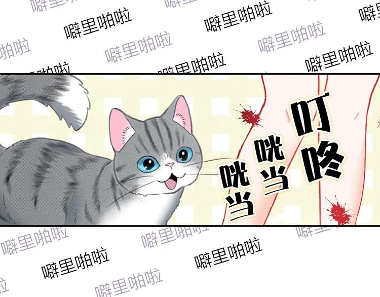 序章 车祸重生，变猫重启！ 第22页