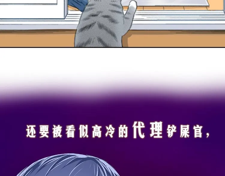 序章 车祸重生，变猫重启！ 第34页