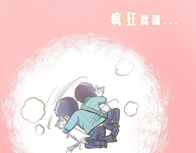 序章 车祸重生，变猫重启！ 第37页