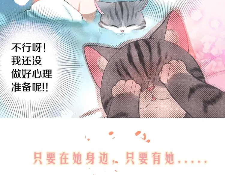 序章 车祸重生，变猫重启！ 第41页