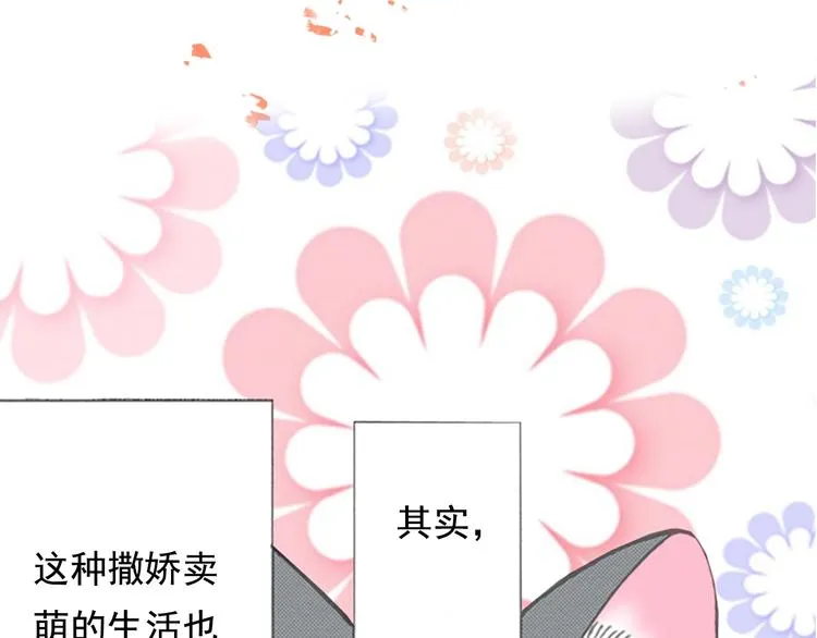 序章 车祸重生，变猫重启！ 第42页