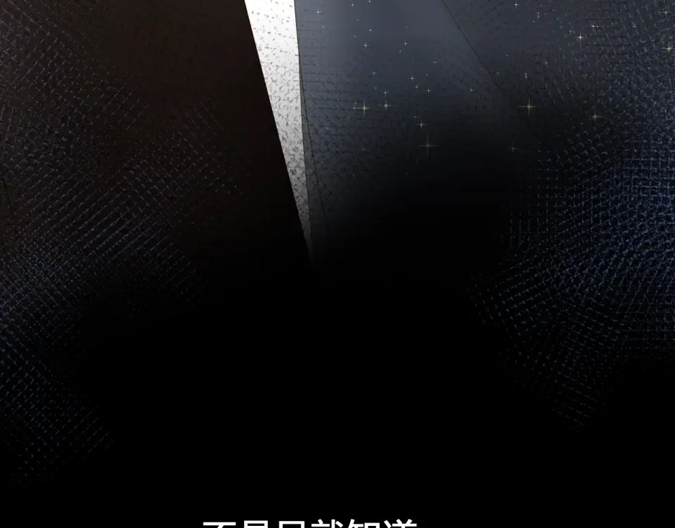 第78话 天鹅的影子 第94页