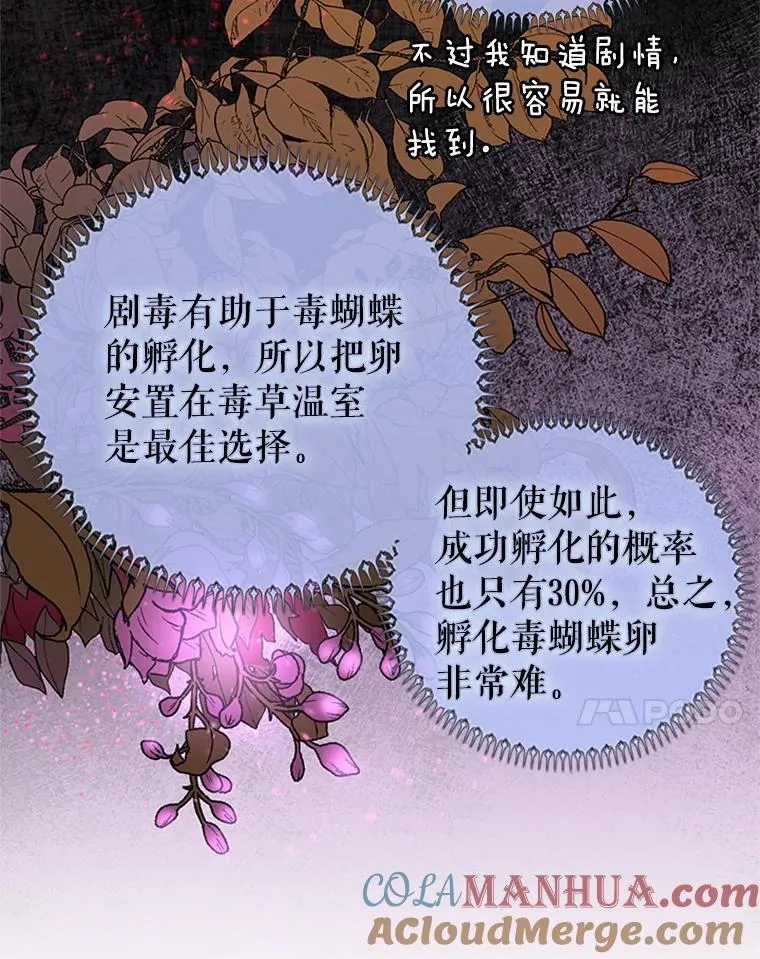5.母亲的期望 第7页