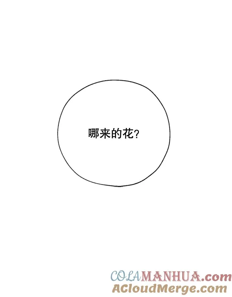 10.神秘的花 第43页