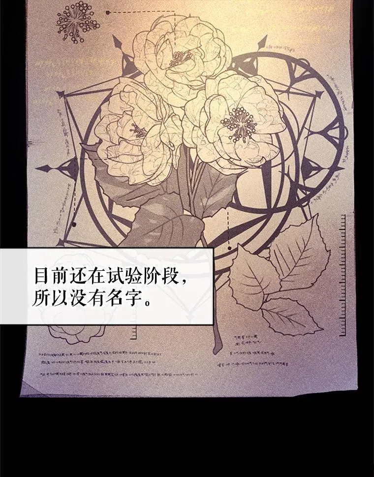 10.神秘的花 第57页