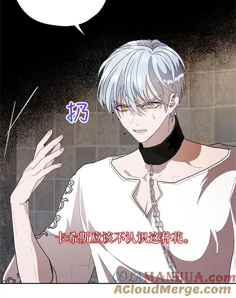 10.神秘的花 第61页