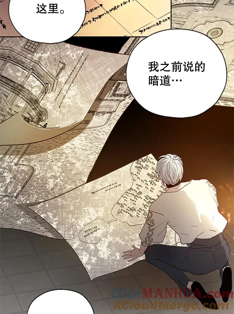 10.神秘的花 第76页