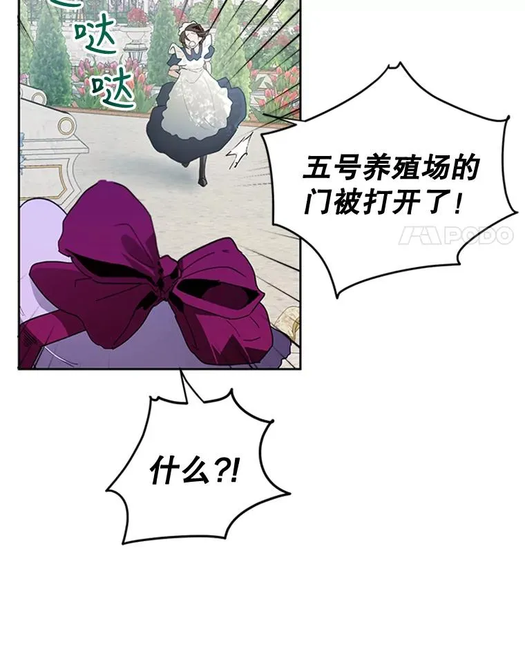 15.一较高下 第4页