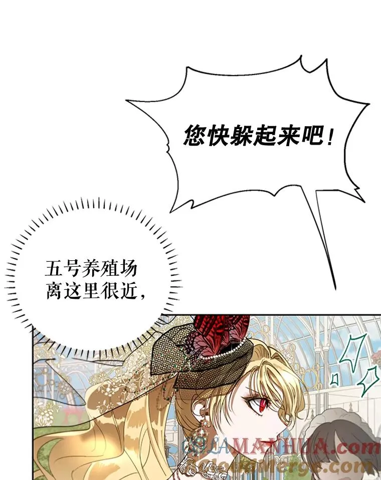 15.一较高下 第5页