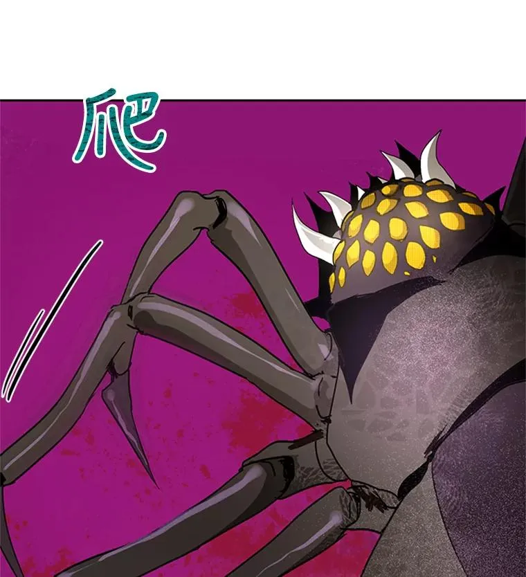 15.一较高下 第12页