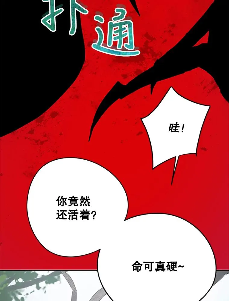15.一较高下 第87页