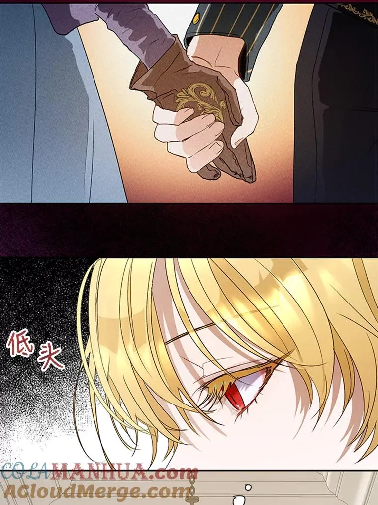 19.毒花 第13页