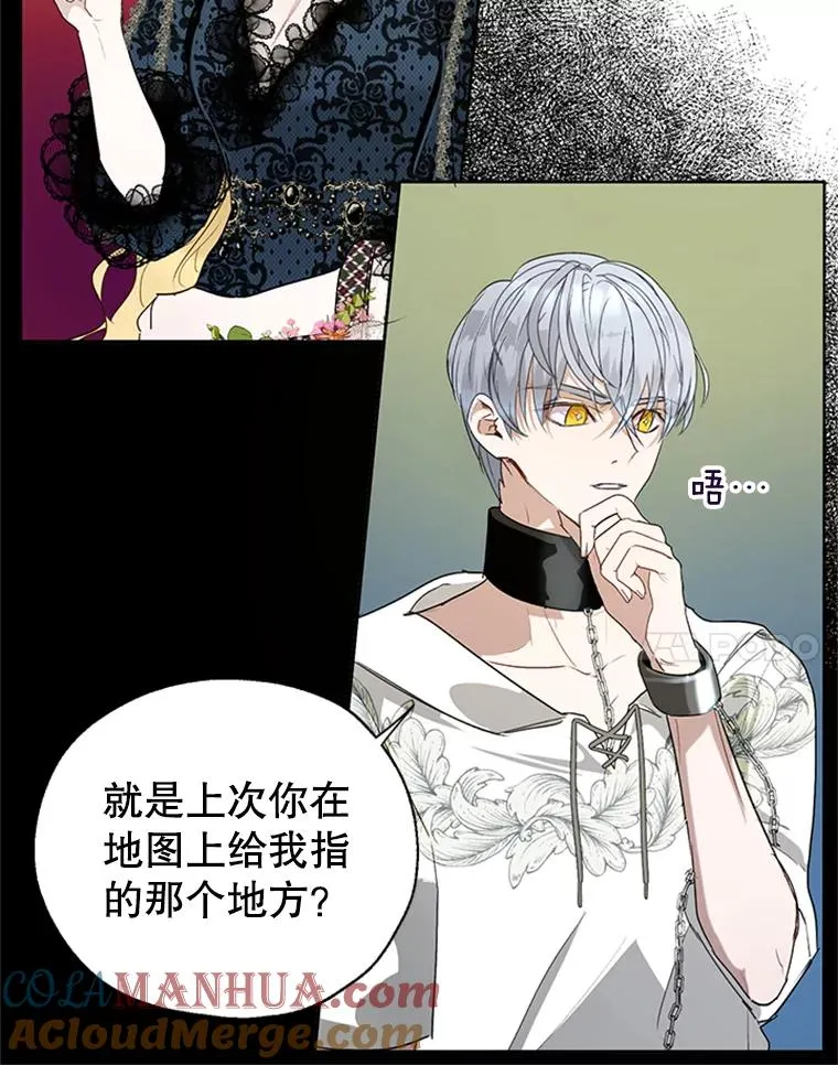 19.毒花 第58页