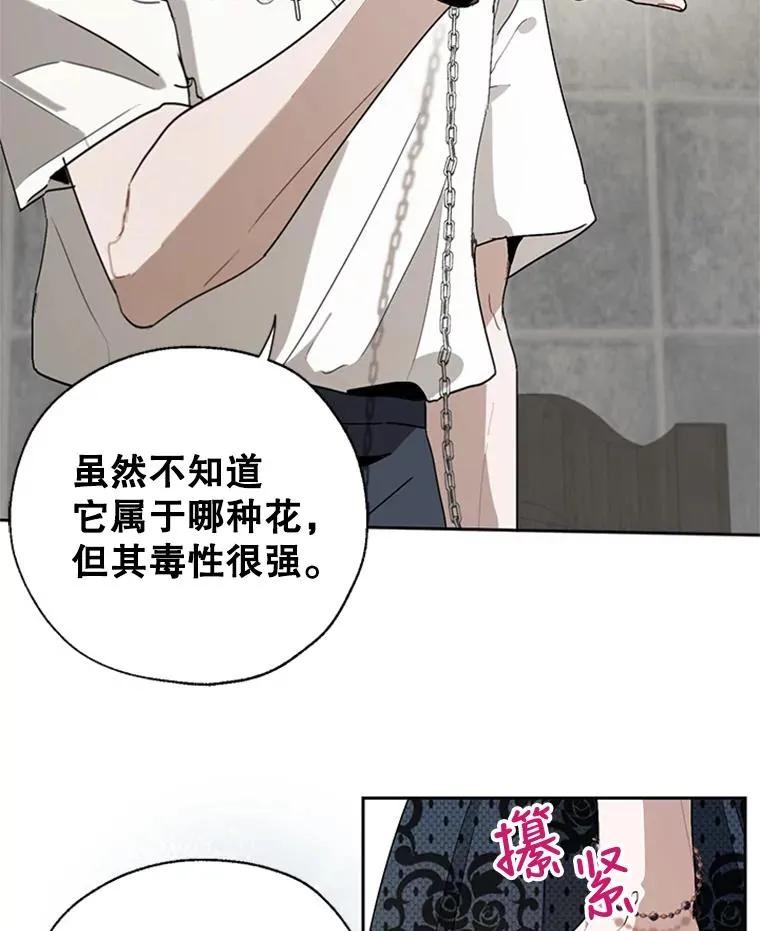 20.再次吐血 第8页
