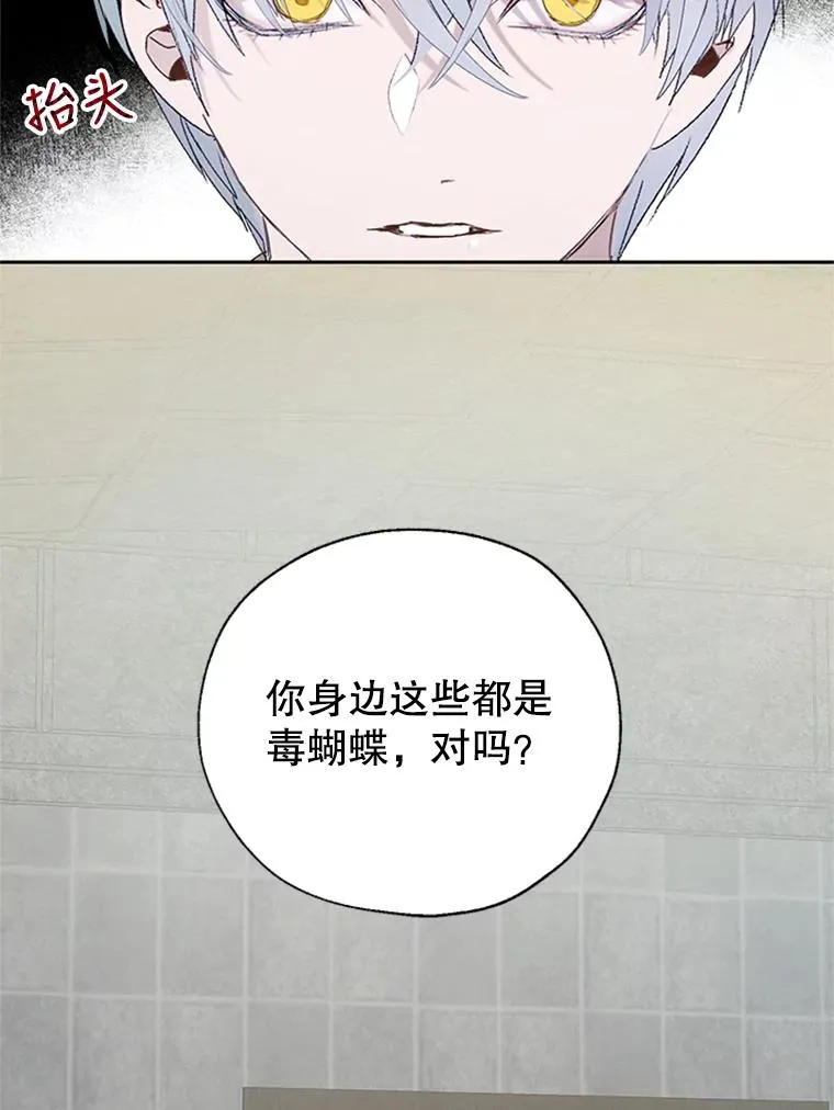 22.神秘之力 第72页