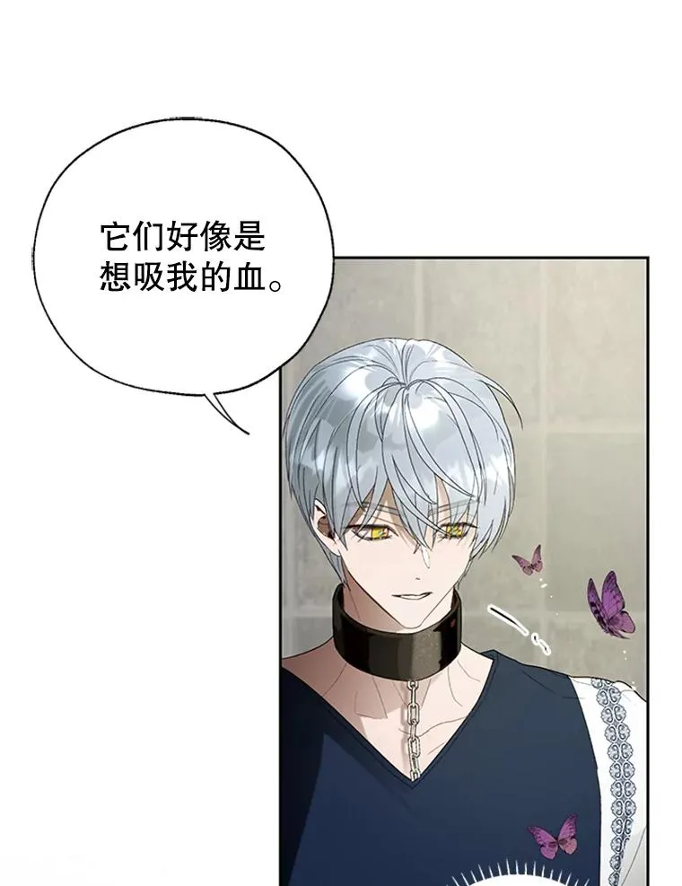 22.神秘之力 第77页