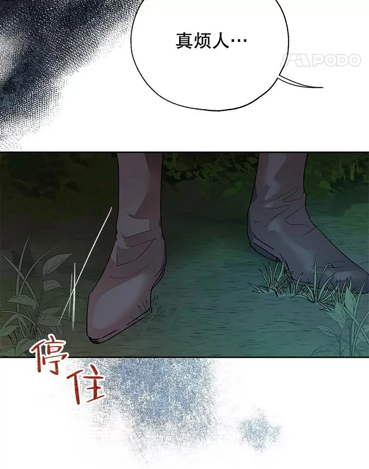 33.好戏开场 第11页