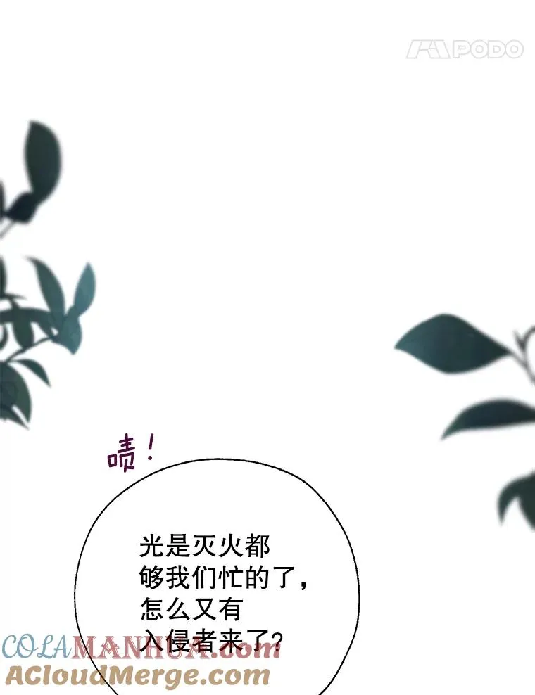 41.突袭 第65页