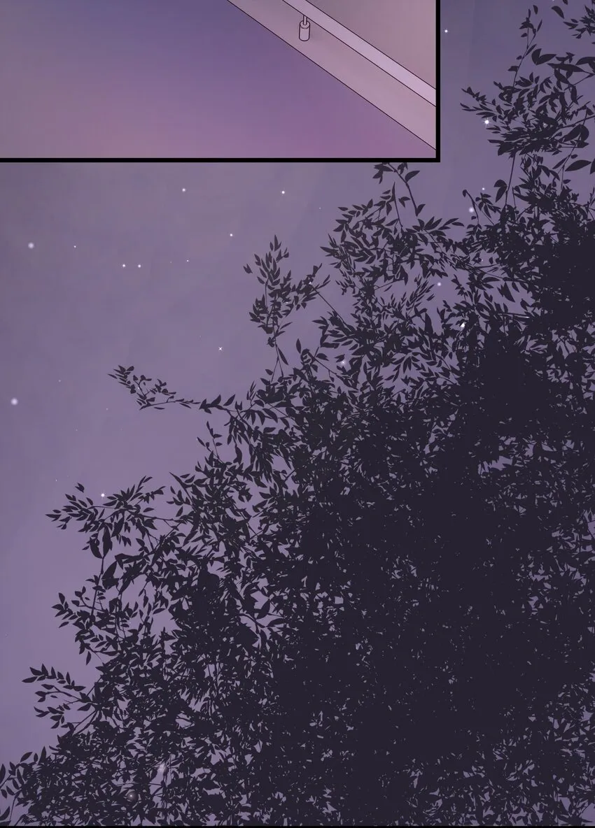 040 你现在还在追星吗？ 第10页