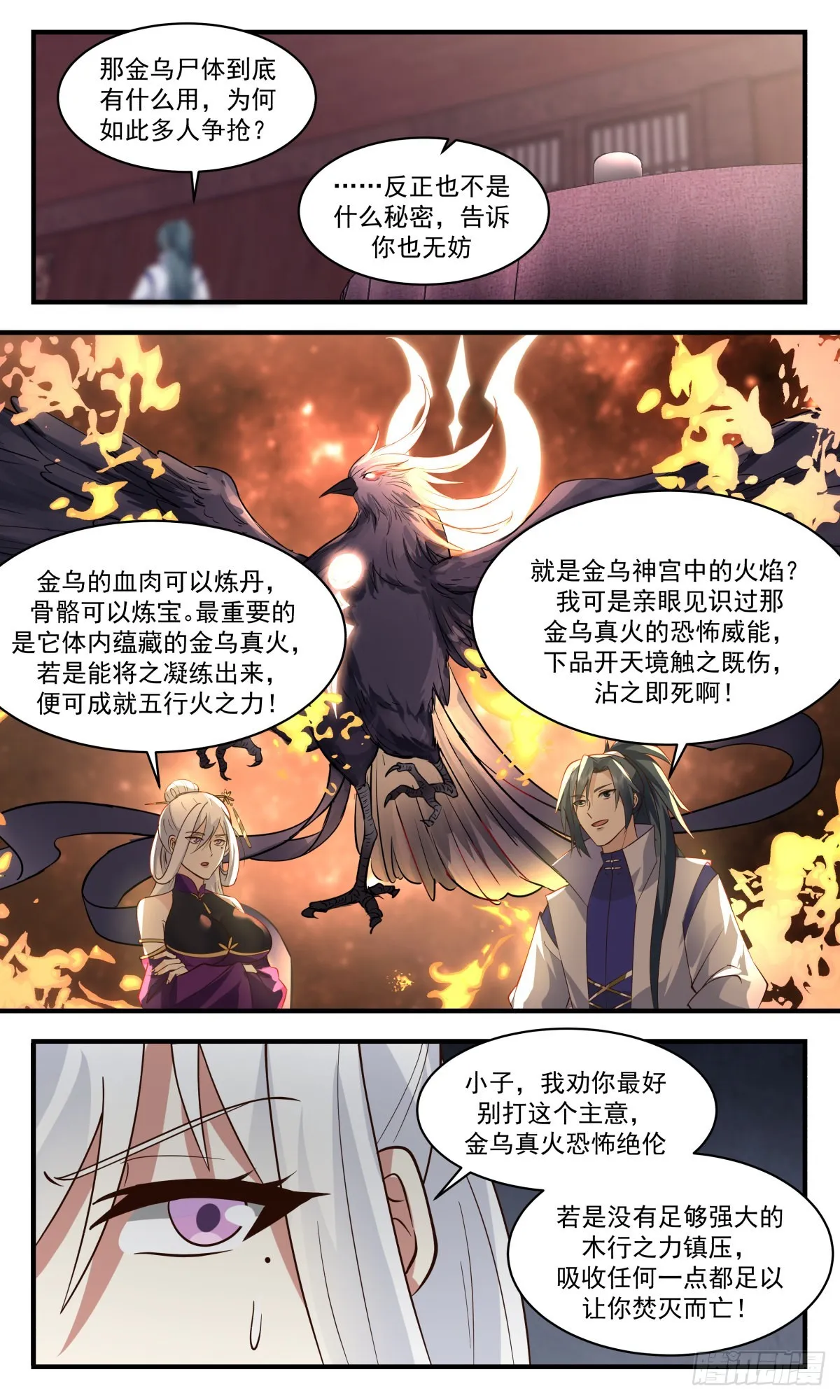 2618 第一栈篇-金乌真火 第10页