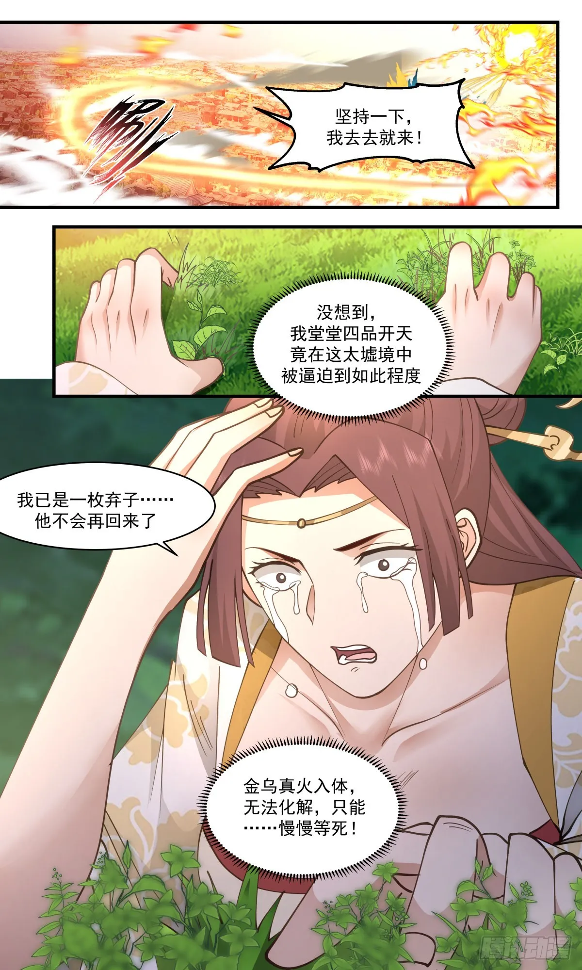 2664 太墟境篇-金乌铸日 第13页