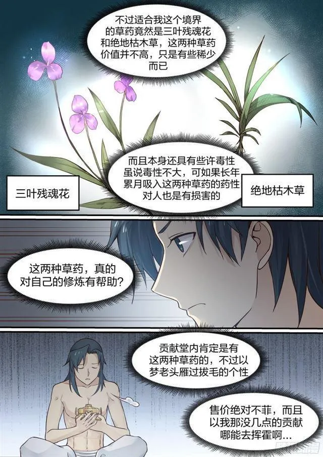19 修炼用的草药 第6页