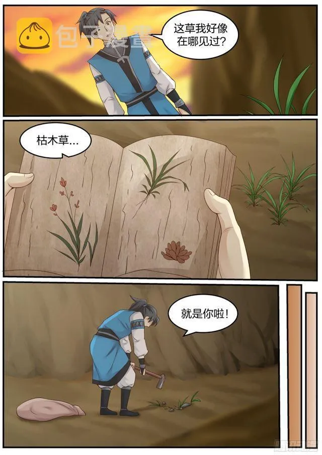 19 修炼用的草药 第13页