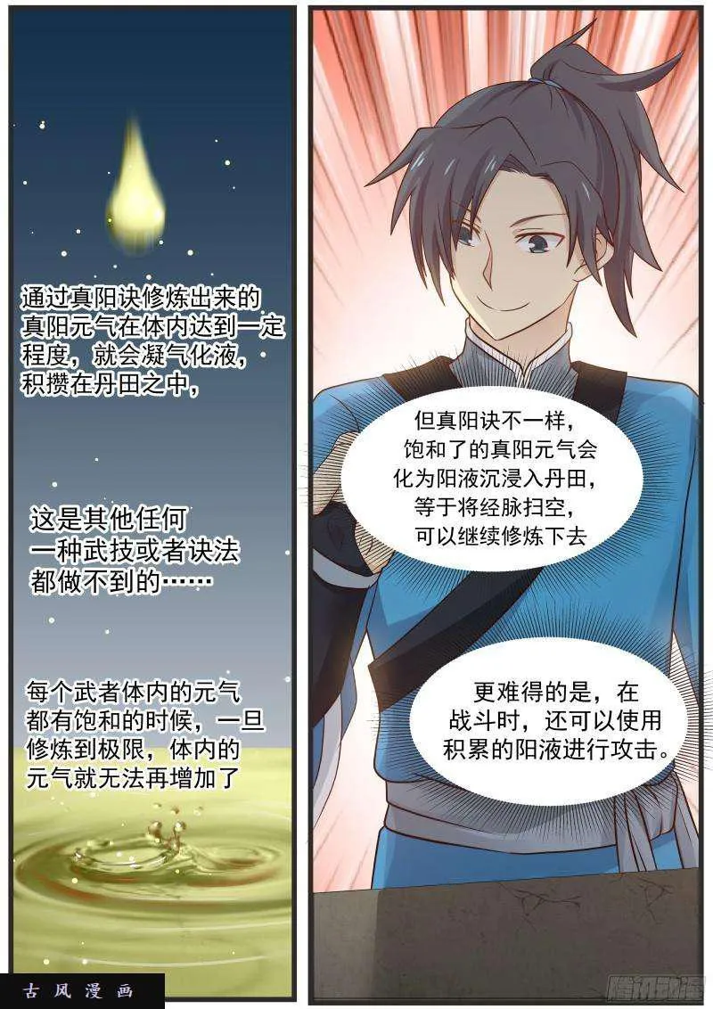 29 真阳诀 第8页
