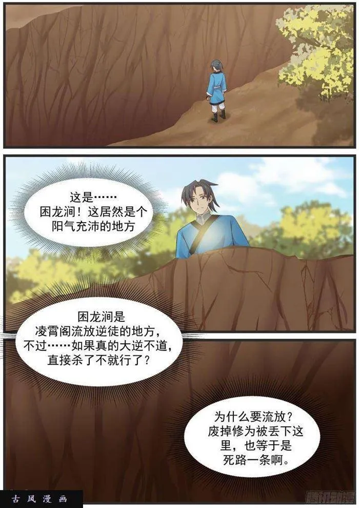 29 真阳诀 第11页