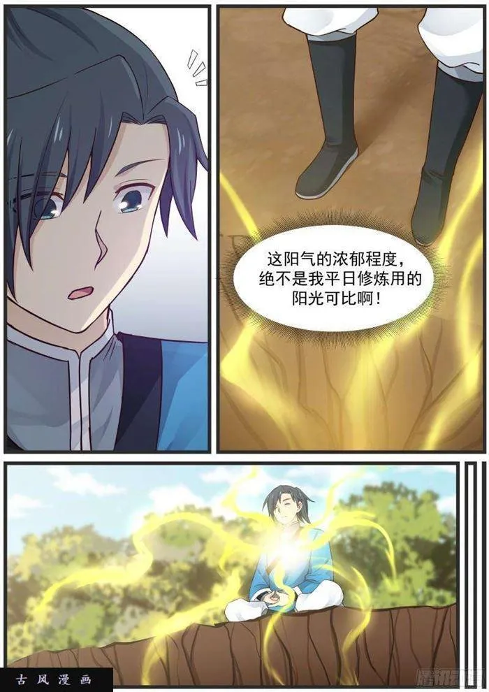 29 真阳诀 第12页