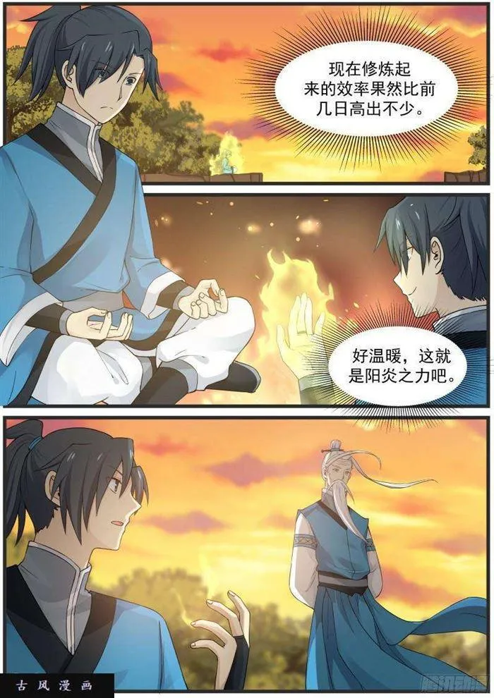 29 真阳诀 第13页