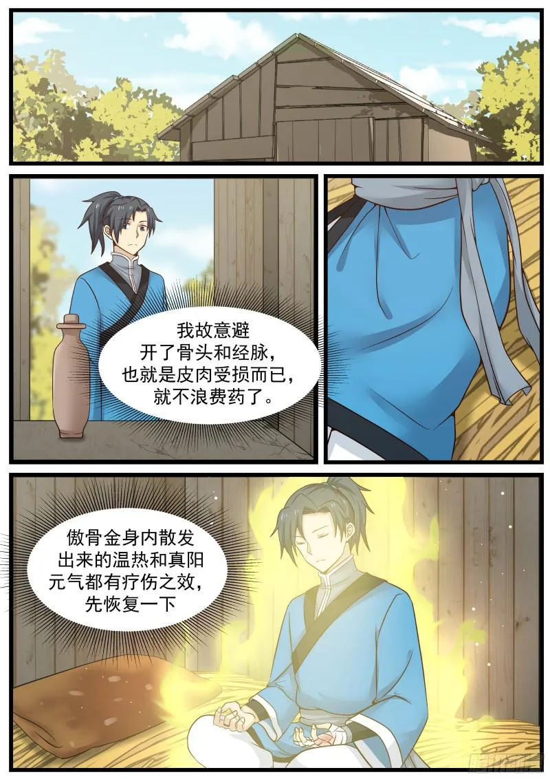 33 淬体境八层 第6页