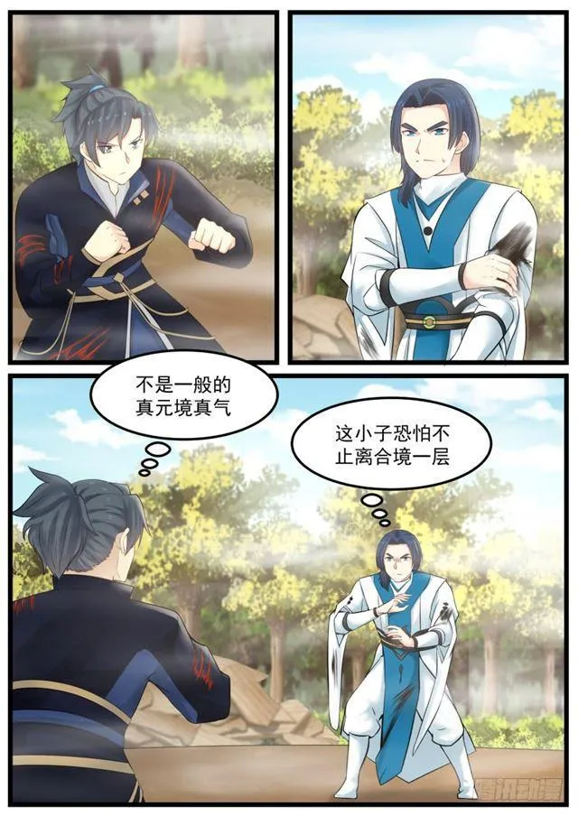 138 离合境正面对敌真元境 第12页