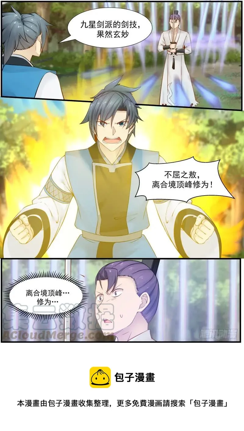 162 离合境顶峰修为 第13页
