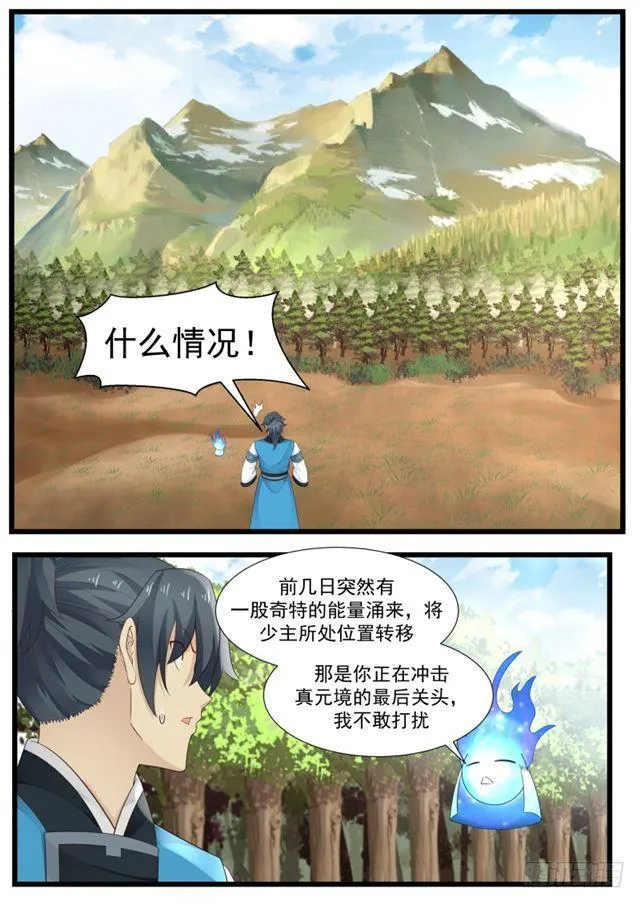 196 真元境一层 第11页