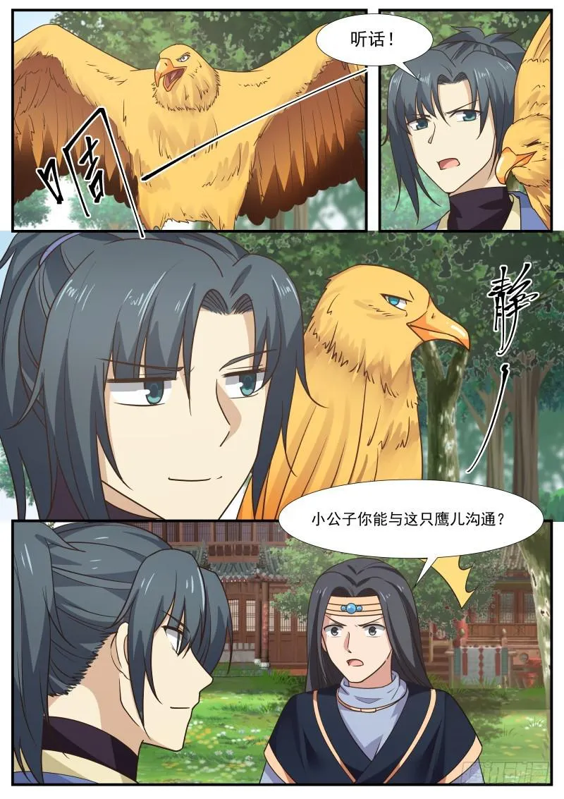 340 认准这只鹰 第2页