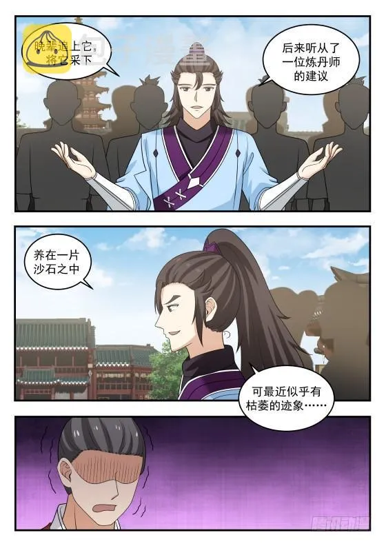 394 抢人 第3页
