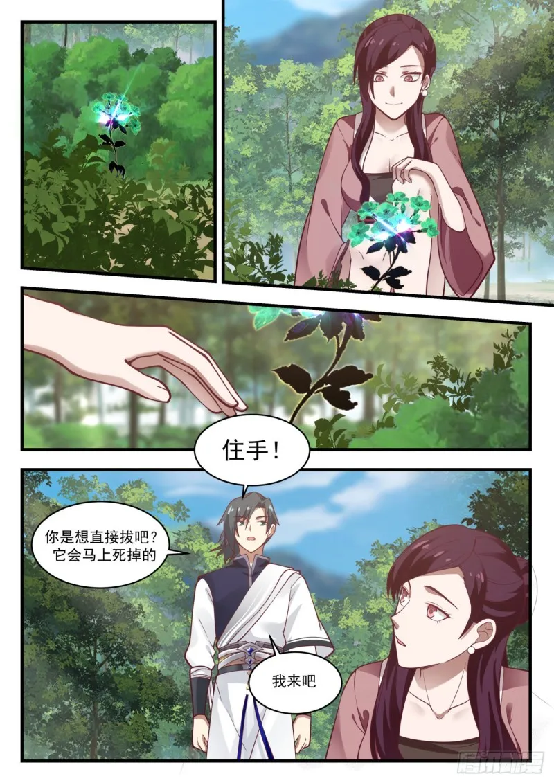 974 你是炼丹师？ 第11页