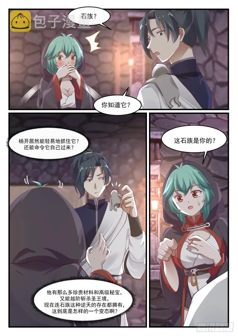 1011 石族 第7页