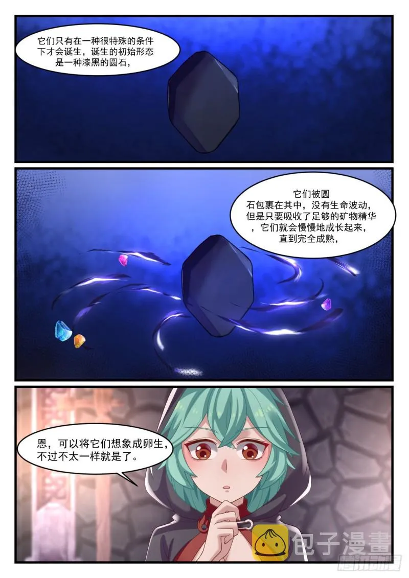 1011 石族 第12页