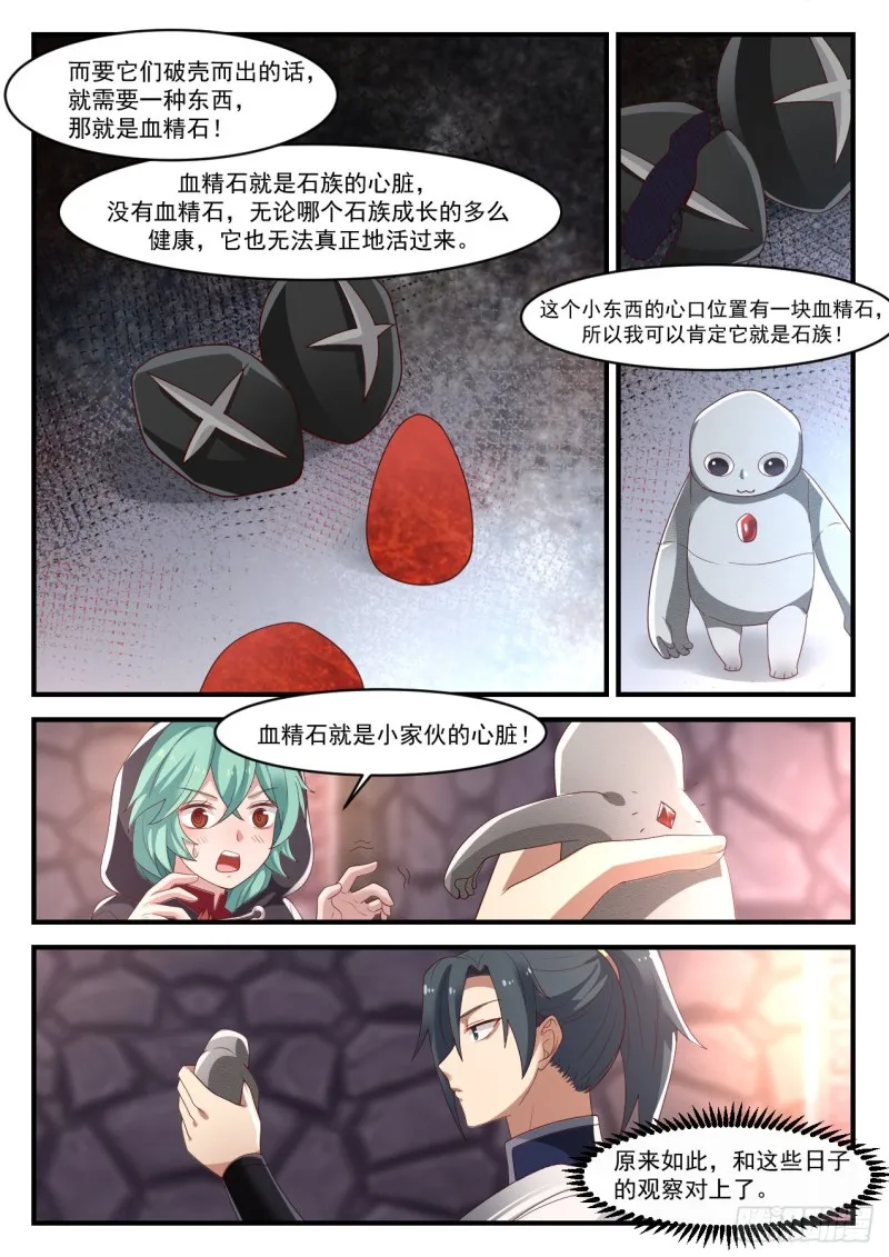 1011 石族 第13页
