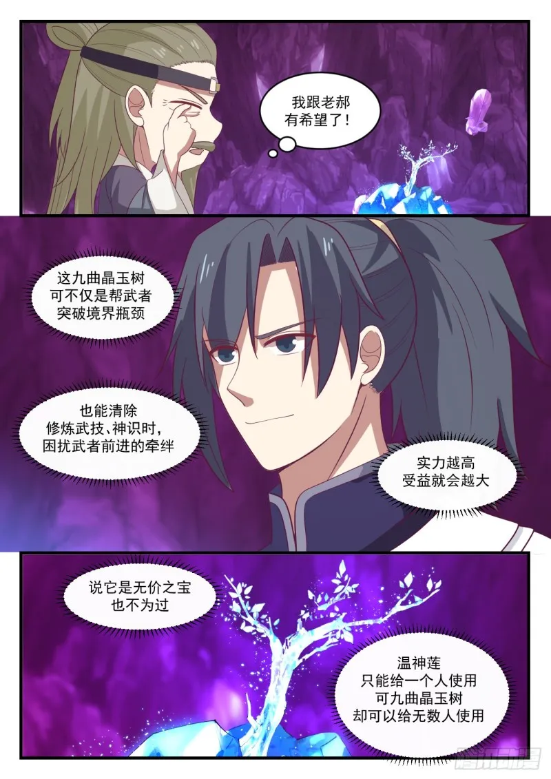 1104 九曲晶玉树 第12页