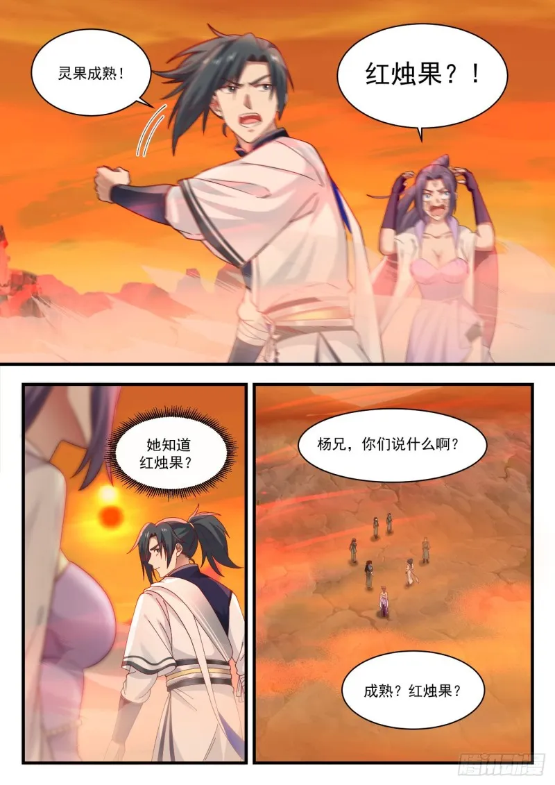1123 红烛果 第5页