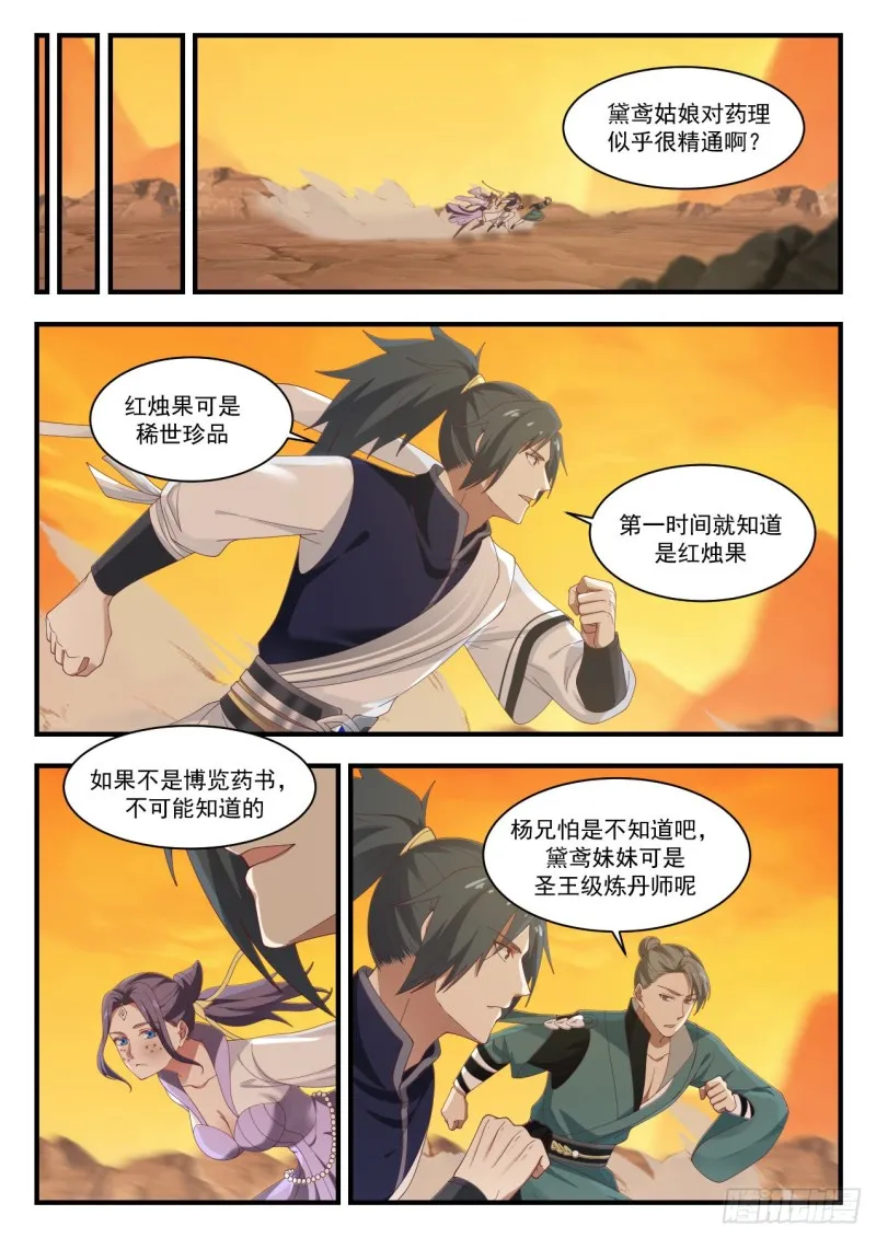 1123 红烛果 第12页