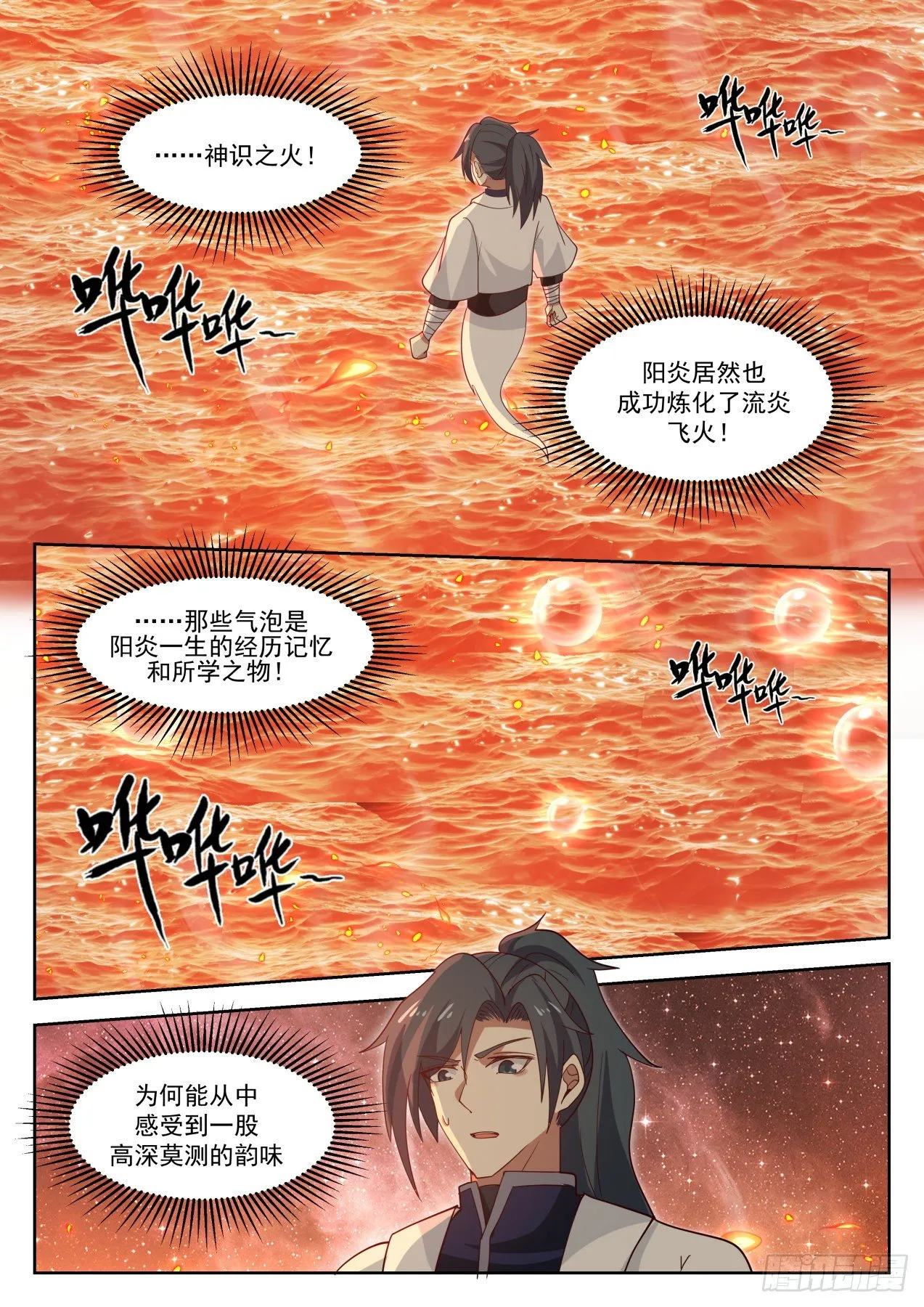 1262 识海防御 第12页