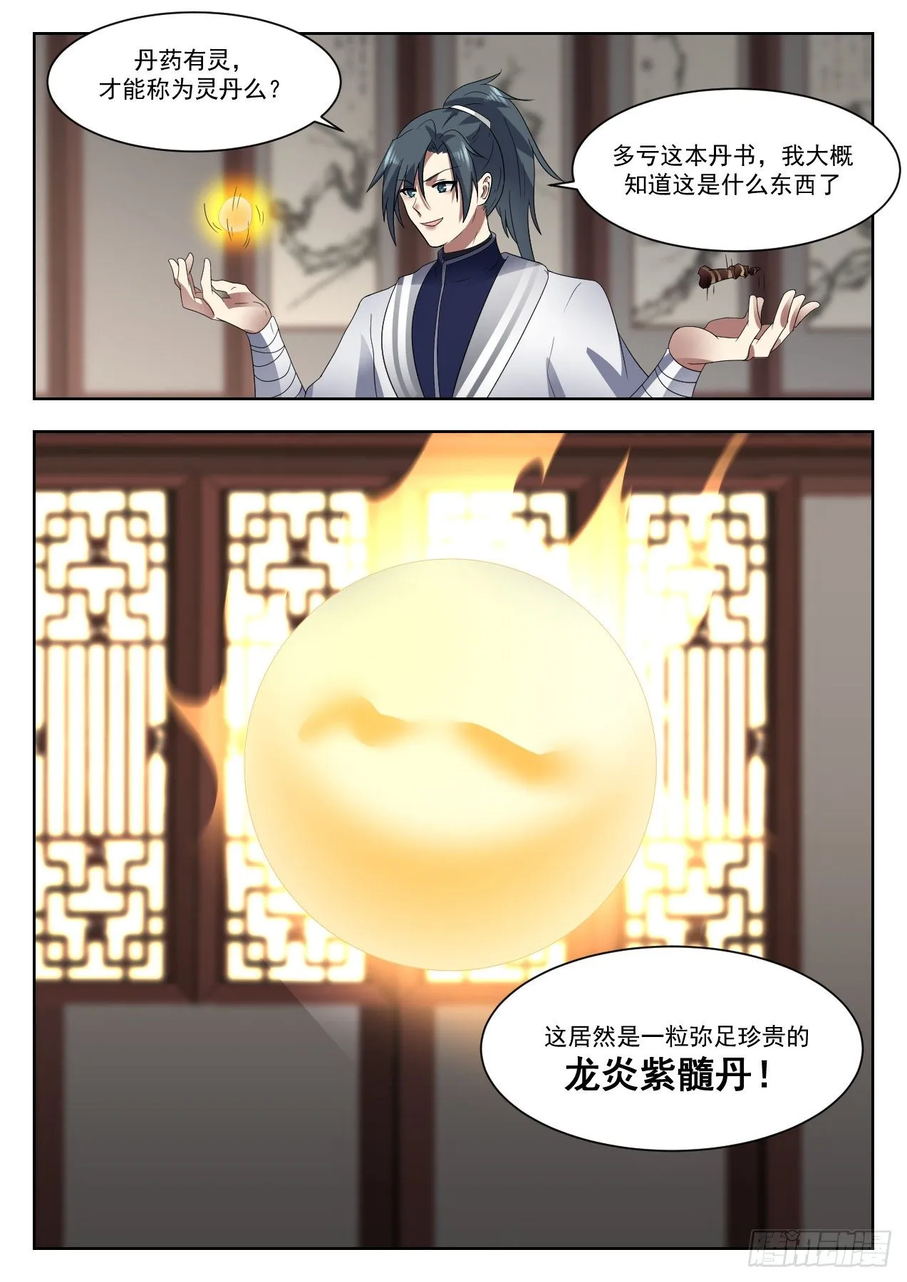 1333 丹道真解 第12页