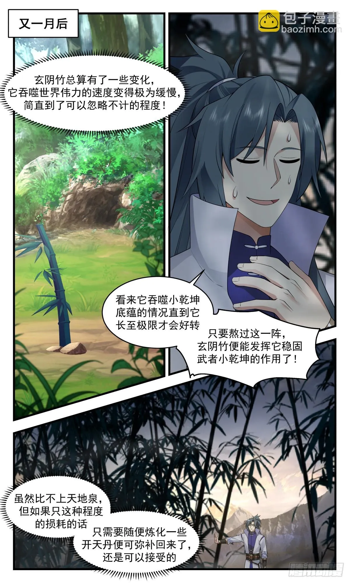 2942 小石界篇-玄阴竹 第12页