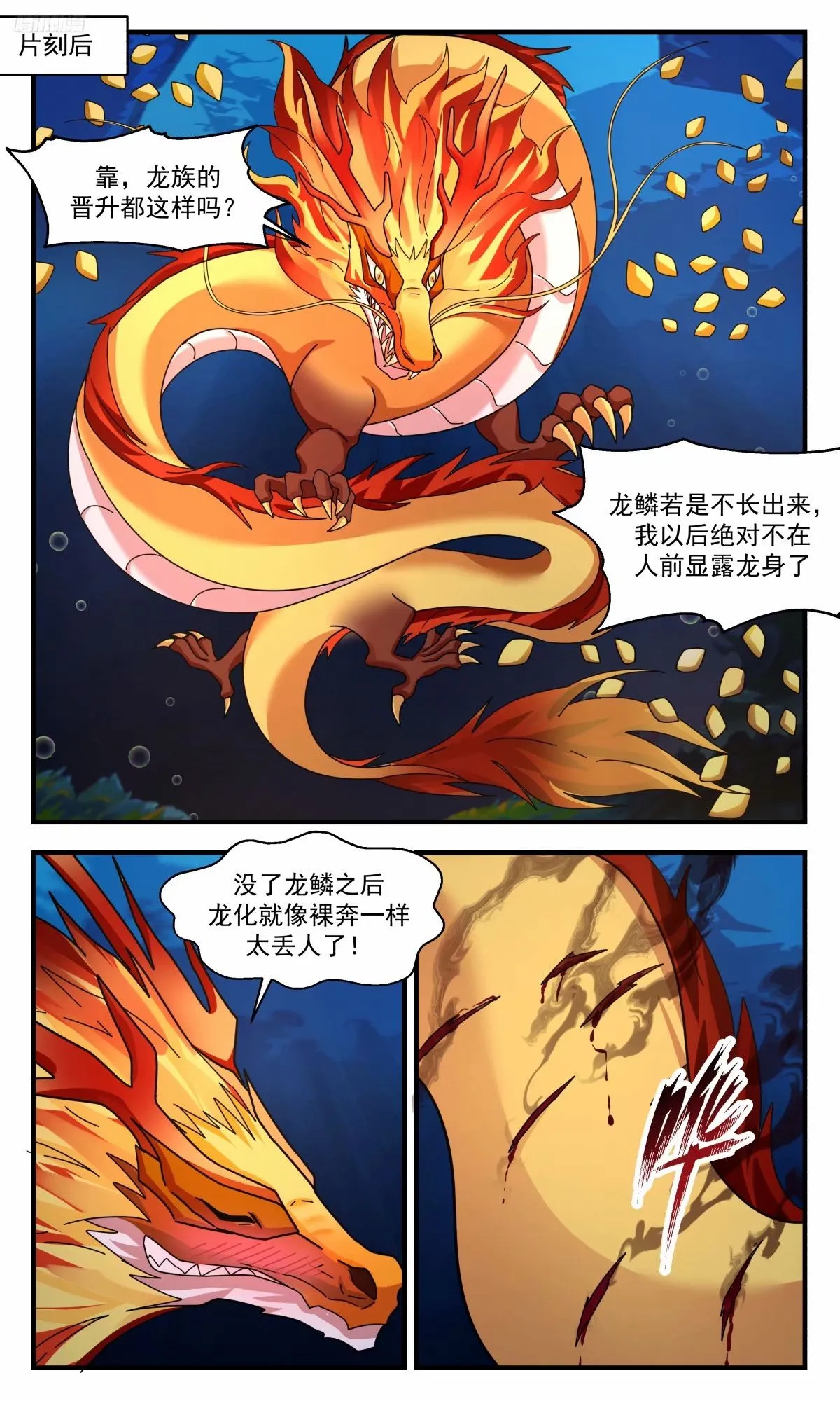 3230 龙翔九天篇-晋升古龙 第11页