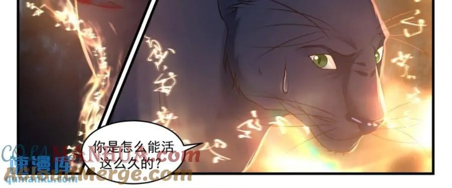 大决战篇-混沌分阴阳 第4页