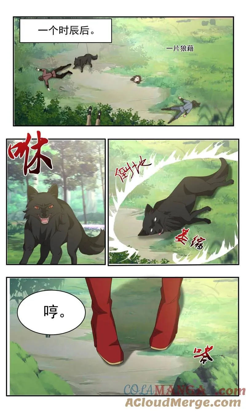 大决战篇-世界两大势力 第8页